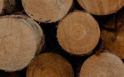 Von Old-School zum Trend: Möglichkeiten mit Holz zu arbeiten