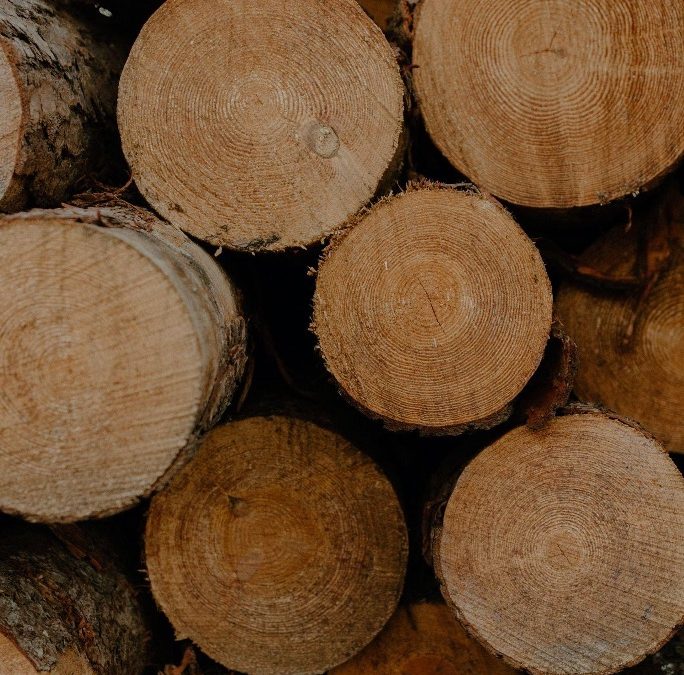 Von Old-School zum Trend: Möglichkeiten mit Holz zu arbeiten